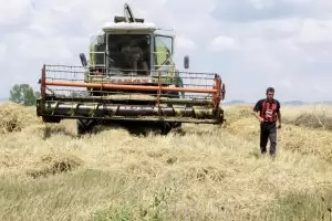 ДНК-тест разпознава откраднатото от руснаците украинско зърно