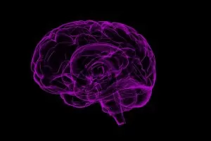 Neuralink не получи право да тества чип в човешки мозък