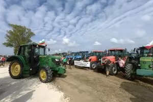 Олово, ГМО, дъмпинг и още митове за украинското жито